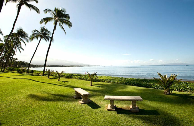 Benches at Sugar Beach Resort.