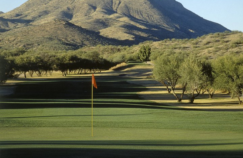 Golf Course at Esplendor Resort