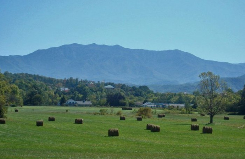 hidden mountain resort sevierville tn