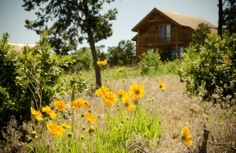 Exterior ranch view at Zion Mountain Ranch.