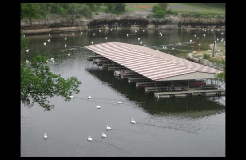 Covered dock at Cliffview Resort.