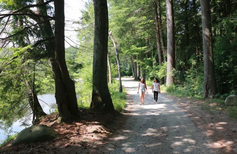 Park near Camp David Bantam Lake.