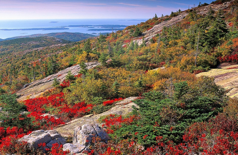 Scenic view at Acadia Cottage Rentals.