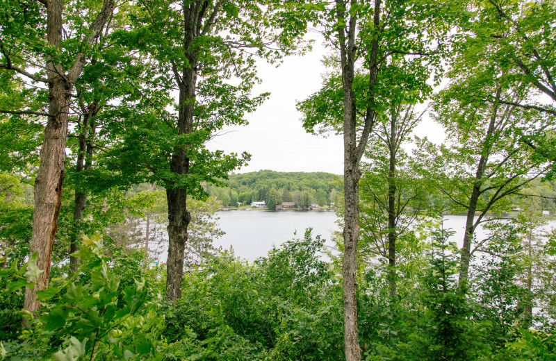 Lake view on Twelve Mile Lake at Heather Lodge.