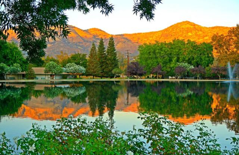 View of the Lake From Wonder Valley Ranch Resort