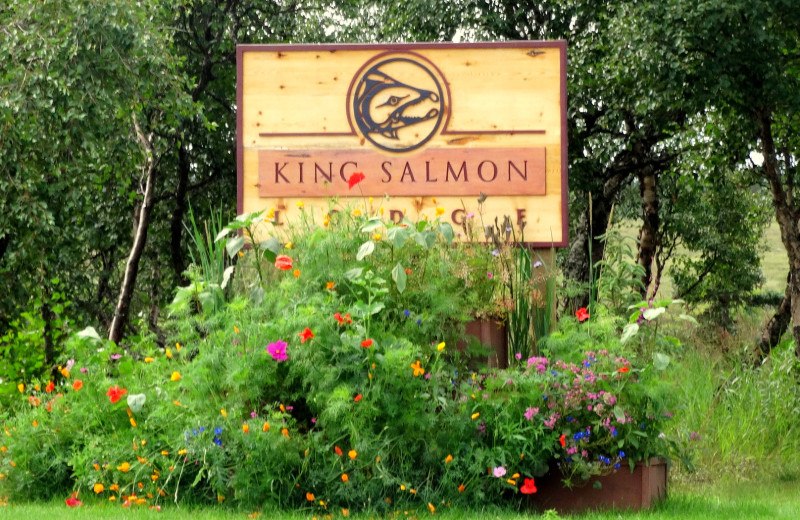 Welcome to King Salmon Lodge.