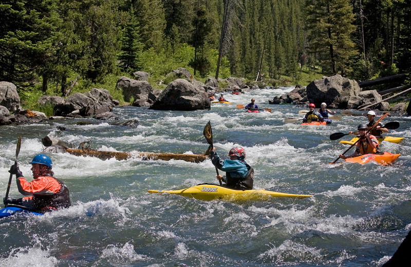 Kayaking at Island Park Reservations.