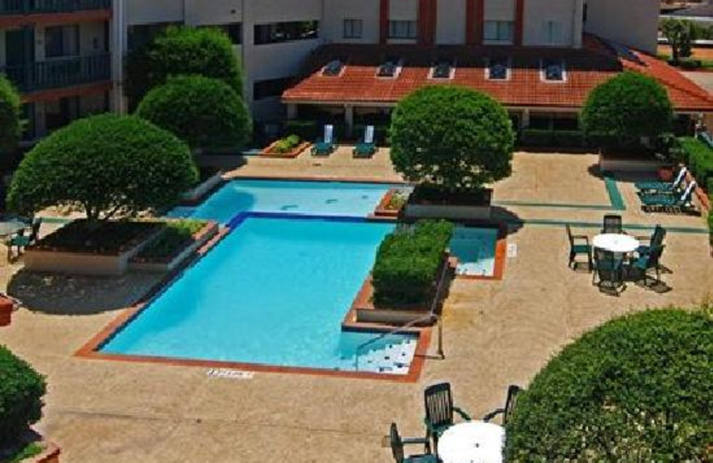 Outdoor pool at Econo Lodge Inn & Suites At Texas Stadium.