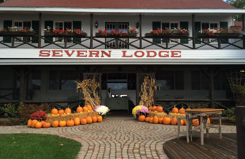 Holidays at Severn Lodge.