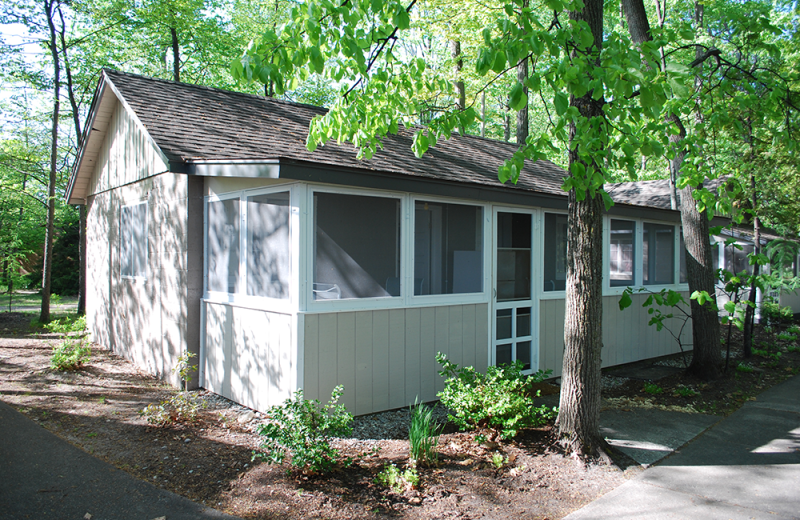 Cabin exterior at White Birch Lodge.