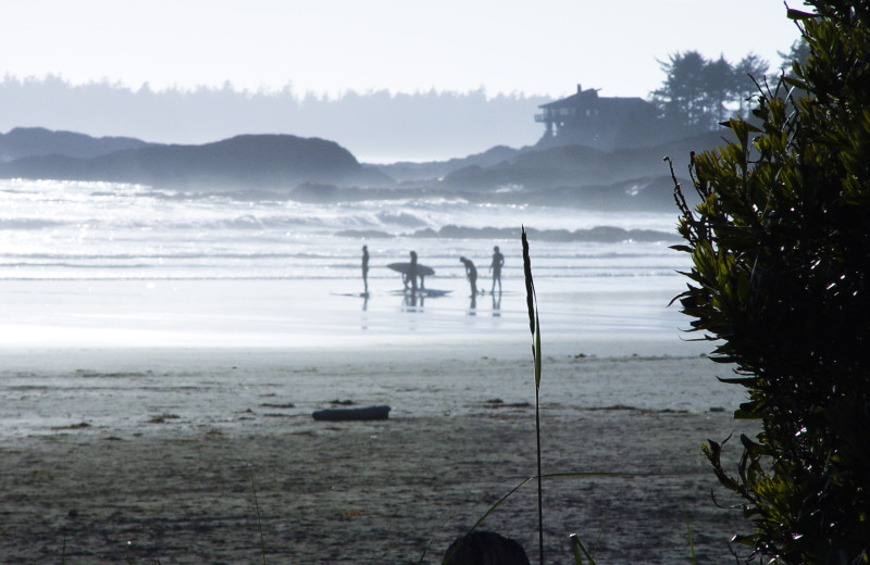 Surfers on Long Beach, just 20 min drive from Cottage