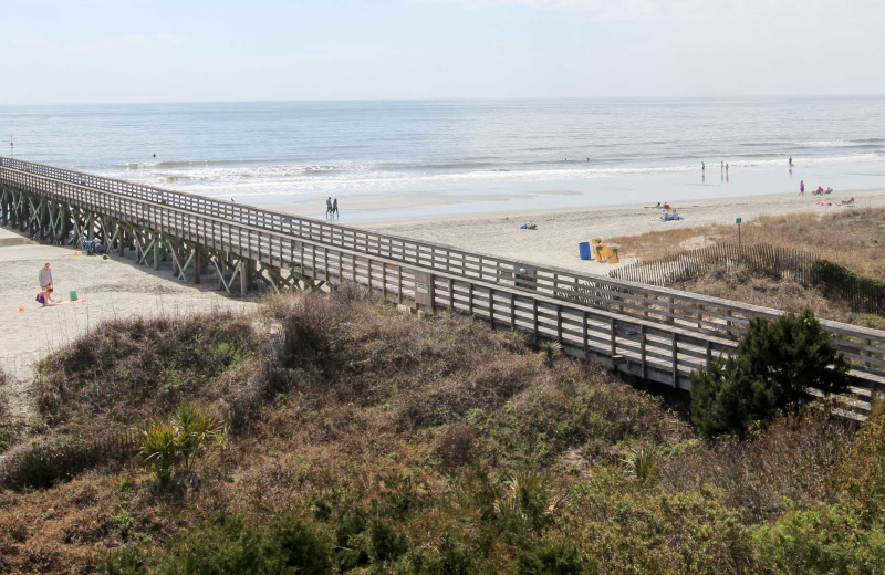 Beach at Sea Cabin 302 A.