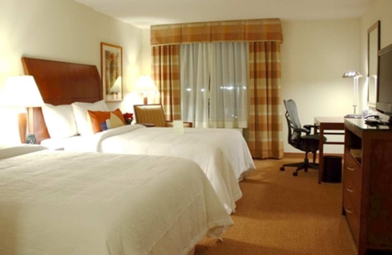 Two Queen Room at Hilton Garden Inn Myrtle Beach