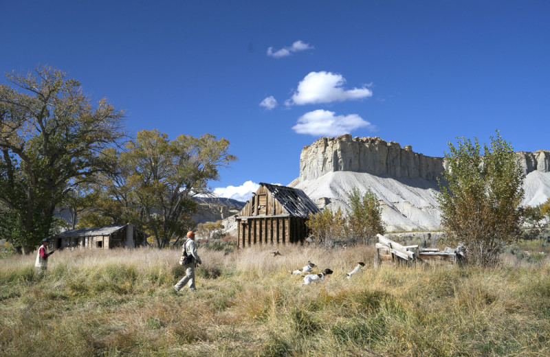 Hunting at Castle Valley Outdoors.