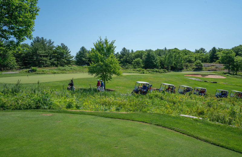 Golf at Taboo Muskoka.