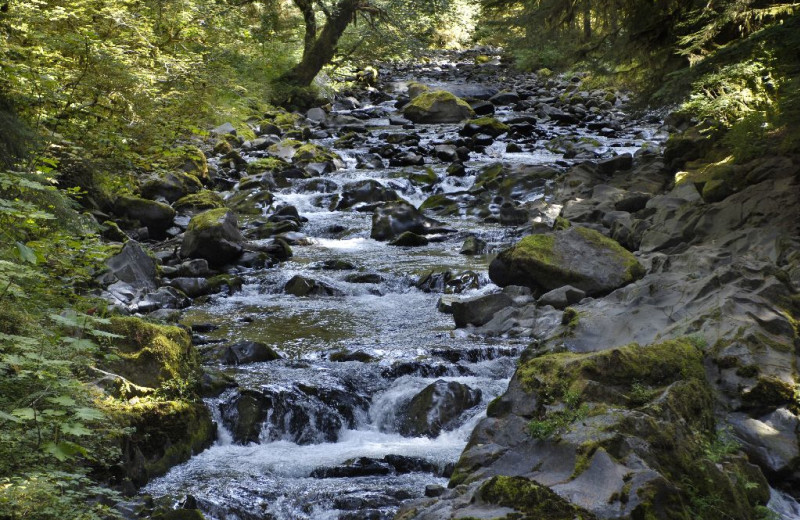 Creek at Grizzly Bear Lodge & Safari.