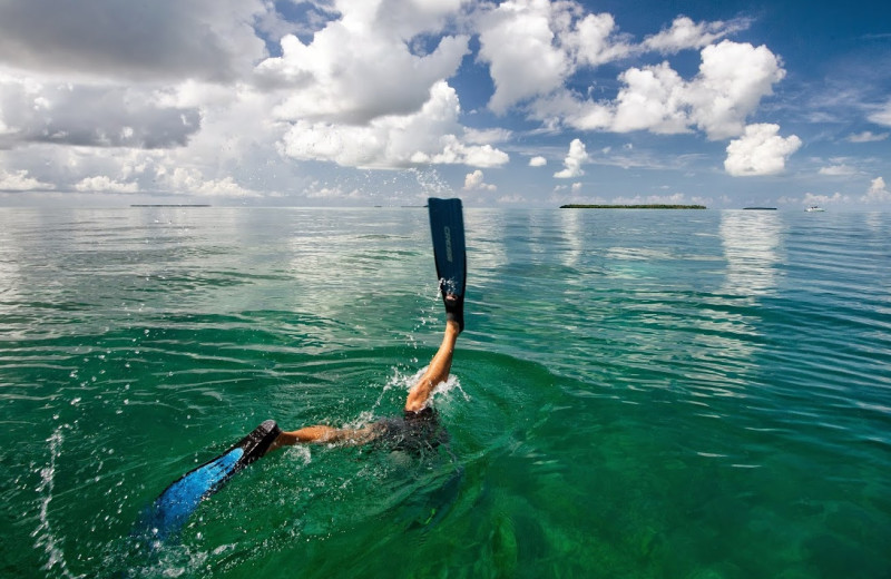 Swimming at The Inn at Key West.