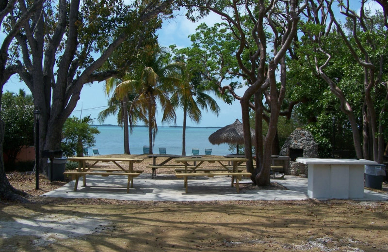 Beach view at Rock Reef Resort.