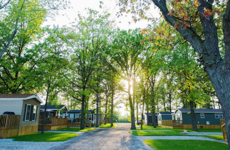 Cabins at Great Blue Resorts- Vine Ridge Resort.