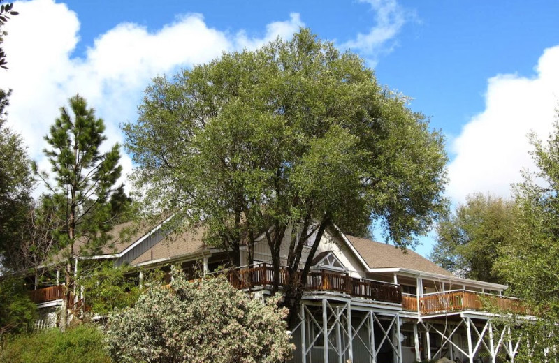 Exterior view of Sierra Mountain Lodge.