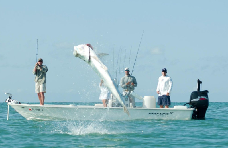 Fishing at Palm Island Resort.