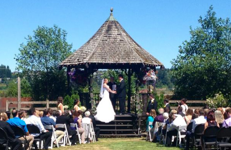 Wedding Ceremony at Old House Village Hotel and Spa 