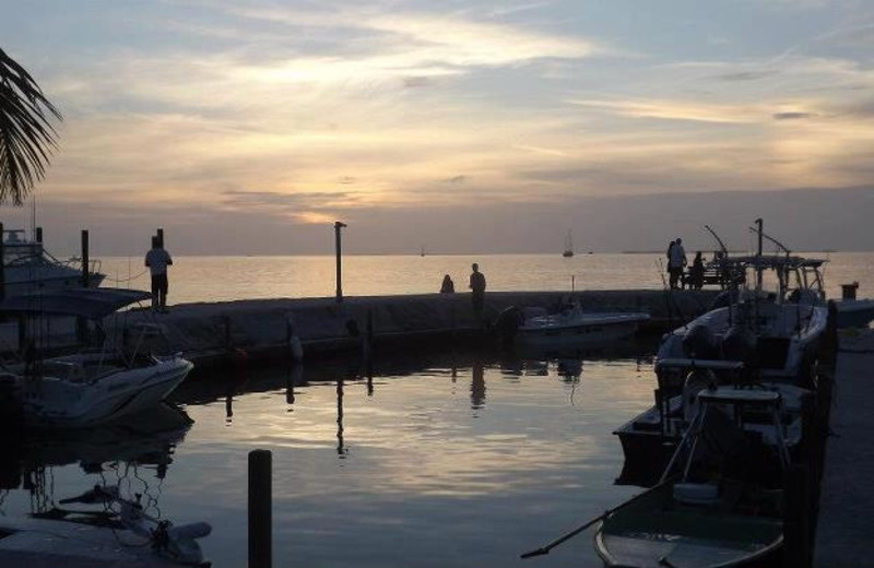 Boats by ocean dock at Coral Bay Resort.