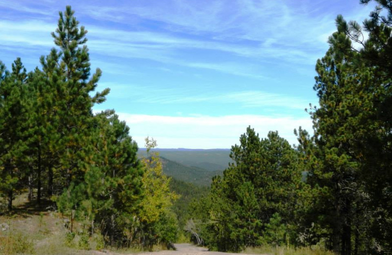 The amazing views on Edelweiss Mountain