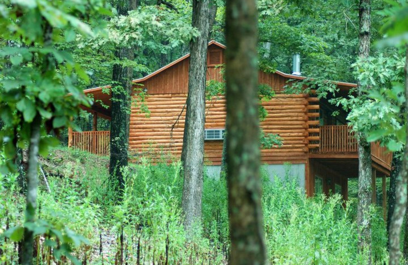 Cabin exterior at Lake Forest Luxury Log Cabins.