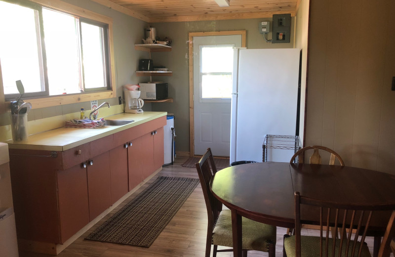 Cabin kitchen at Dogtooth Lake Resort.