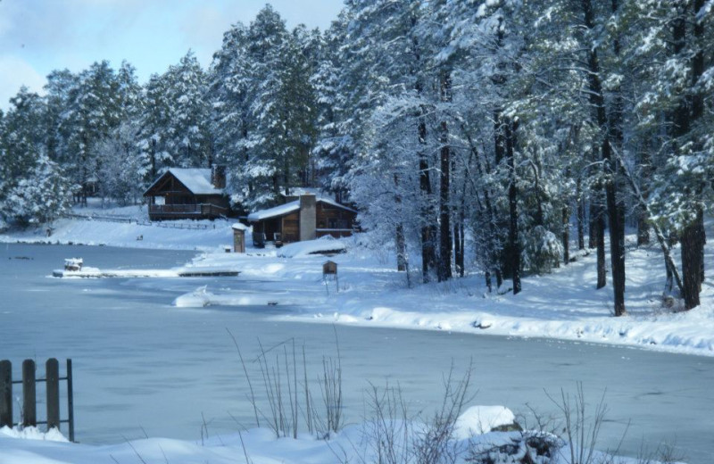 Cabin exterior at Lake Of The Woods.