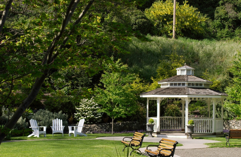 Garden view at Bishop Victorian Hotel.