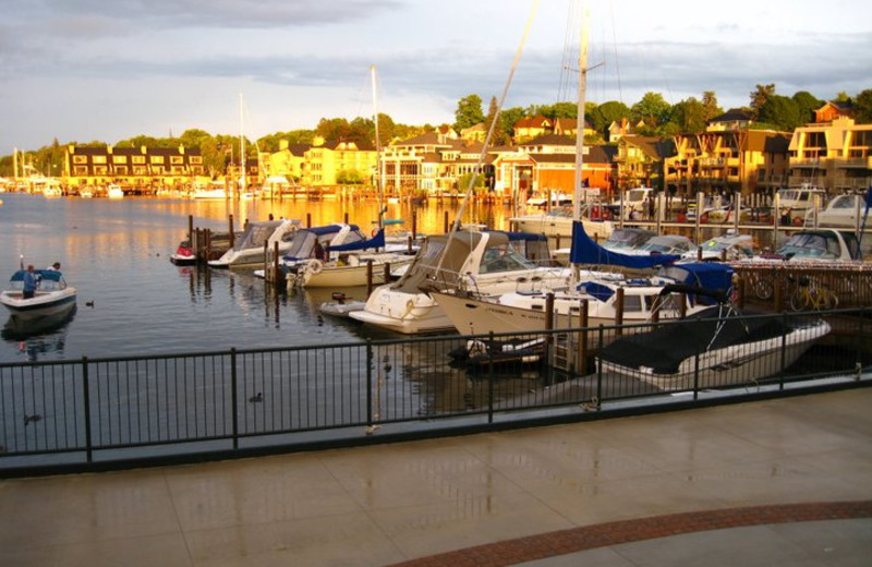 Downtown harbor near Northern Quarters Management.