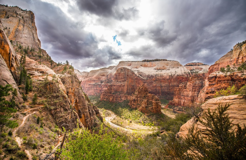 Zion National Park near Zion Mountain Ranch.