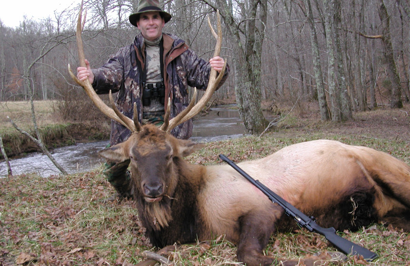 Elk hunting at Caryonah Hunting Lodge.