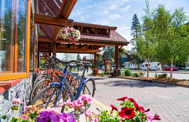 Bikes at Banff Ptarmigan Inn.