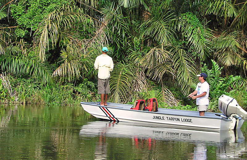 Fishing at Jungle Tarpon Lodge.