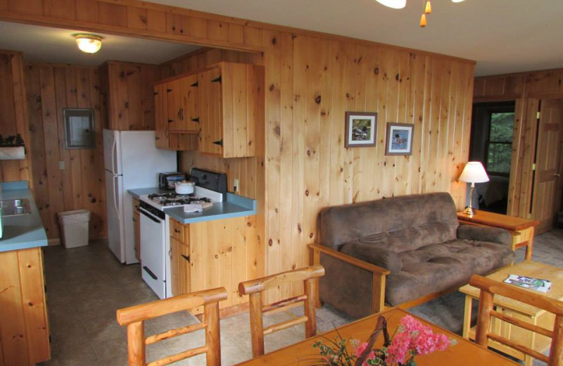 Cabin kitchen and dining at Elbow Lake Lodge.