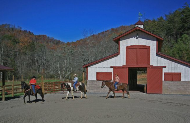 Brasstown Valley Resort & Spa (Young Harris, GA) Resort Reviews