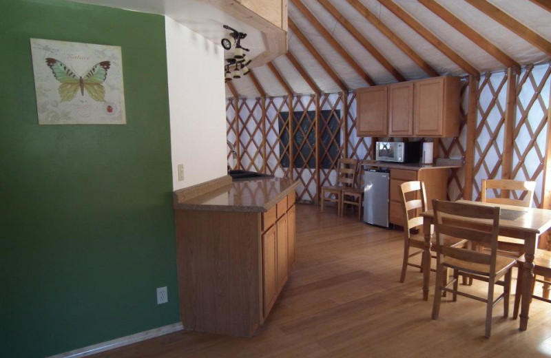 Yurt kitchen at Strawhouse Resorts.