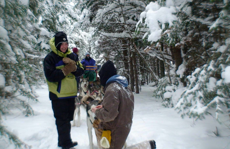 Dog sledding proposal at Gunflint Lodge.