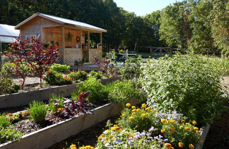 Garden at The Lodge at Woodloch.