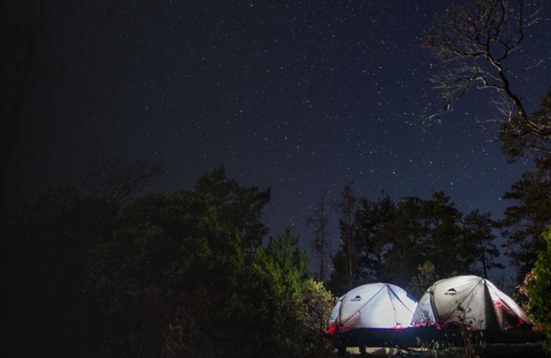 Starry sky at Orca Camp.