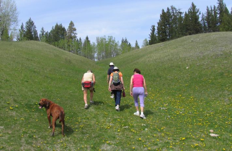 Hiking at The Hills Guest Ranch.