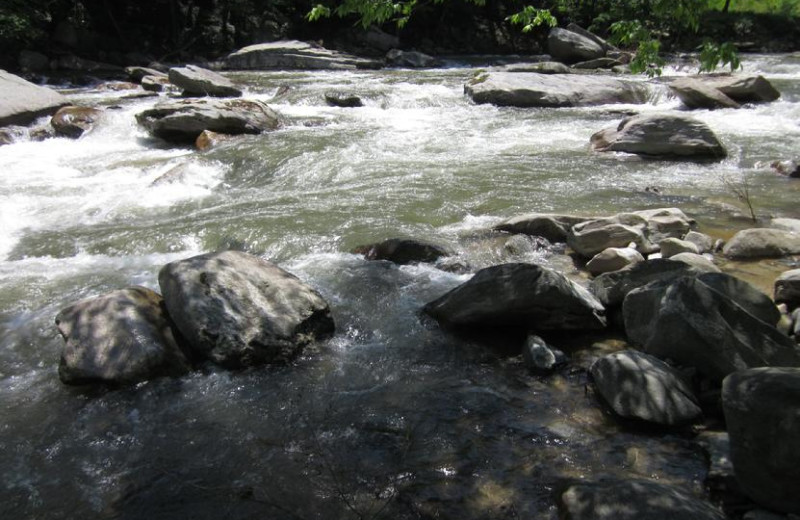 The River at Dowling Cabins