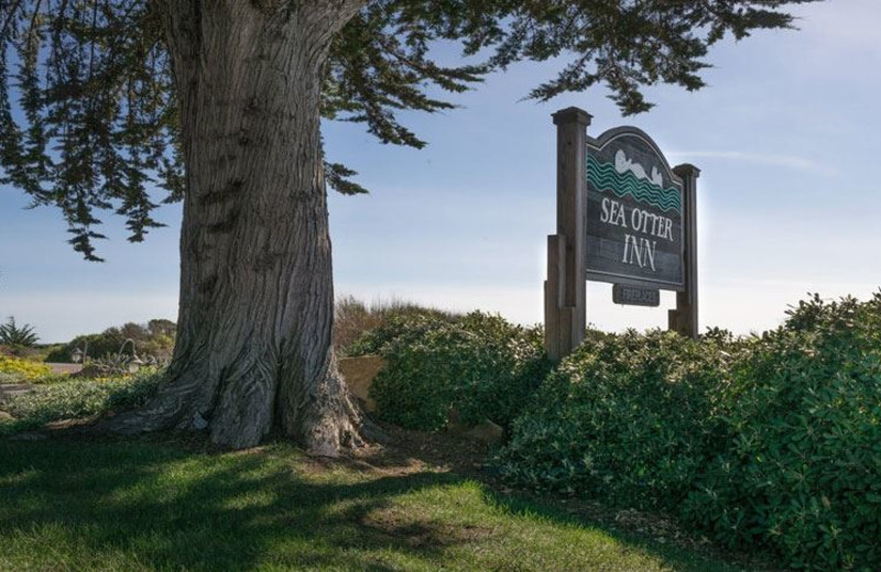 Welcome to Sea Otter Inn.