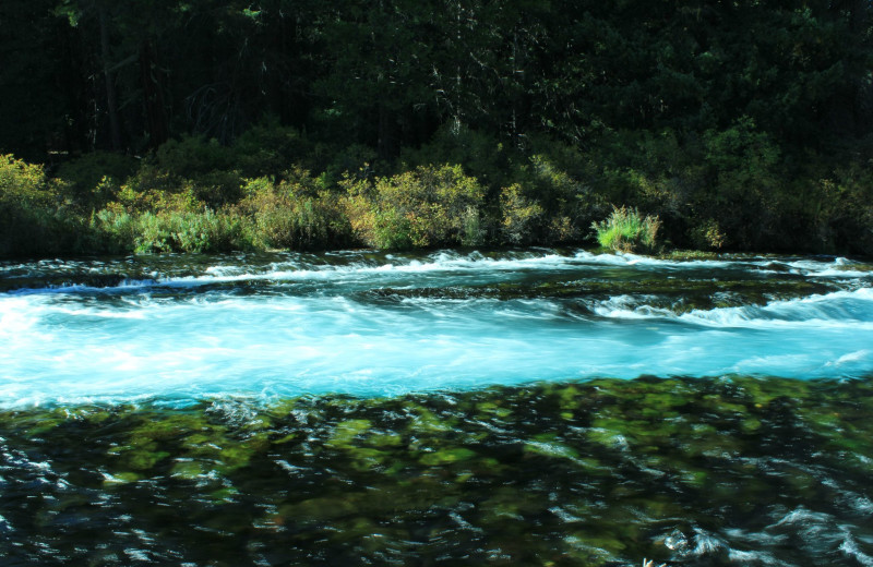 Wizard Falls on the Metolius near Sisters Vacation Rentals.