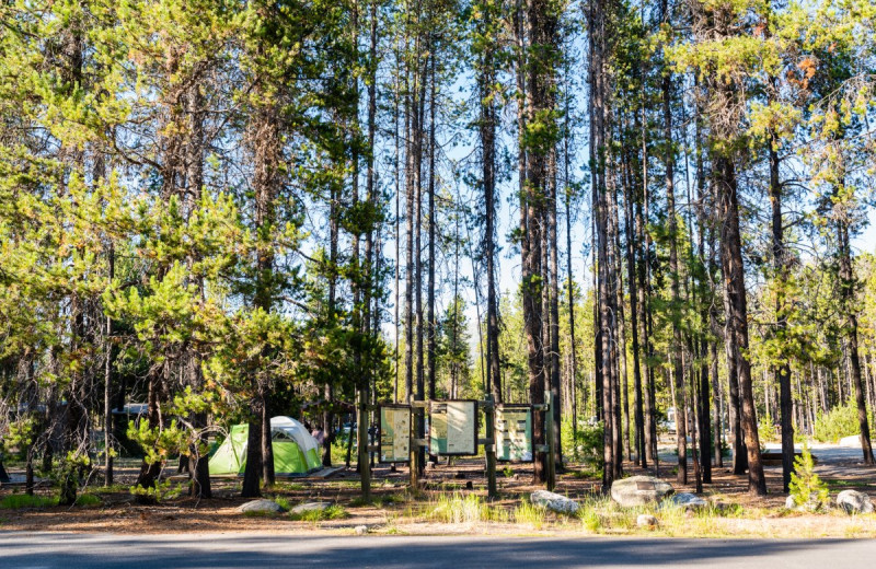 Campground at North Shore Lodge & Resort.