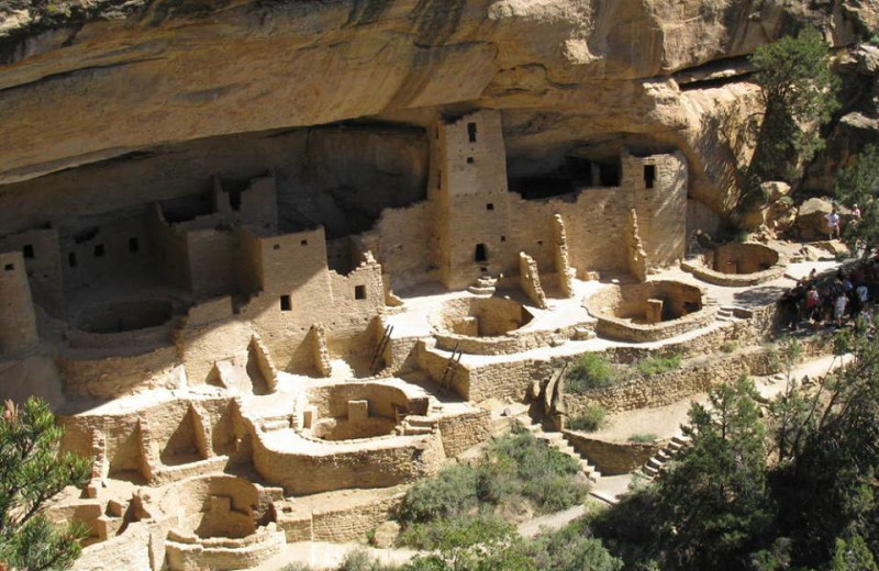 Mesa Verde National Park near The Nordic Inn.