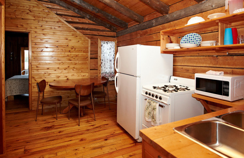 Cabin kitchen at Fernleigh Lodge.